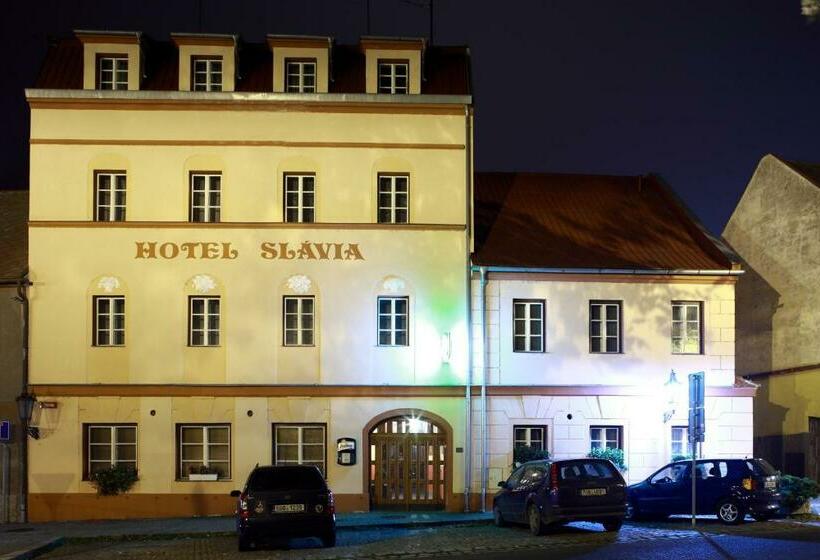 酒店 Slávie