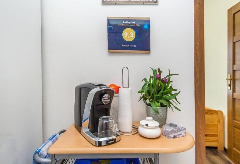 הוסטל Pension Milada