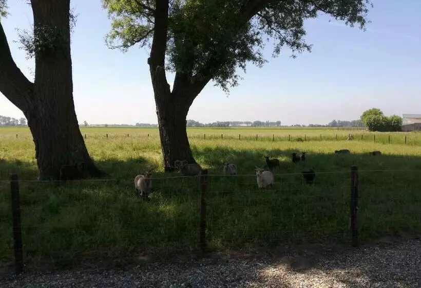 Aamiaismajoitus (B&B) Het Zeeuwsverblijf