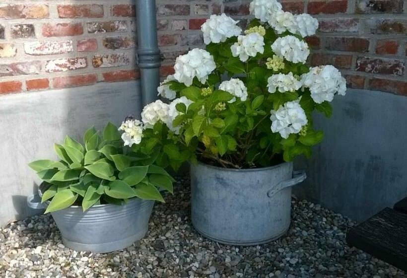 مبيت وإفطار Het Zeeuwsverblijf