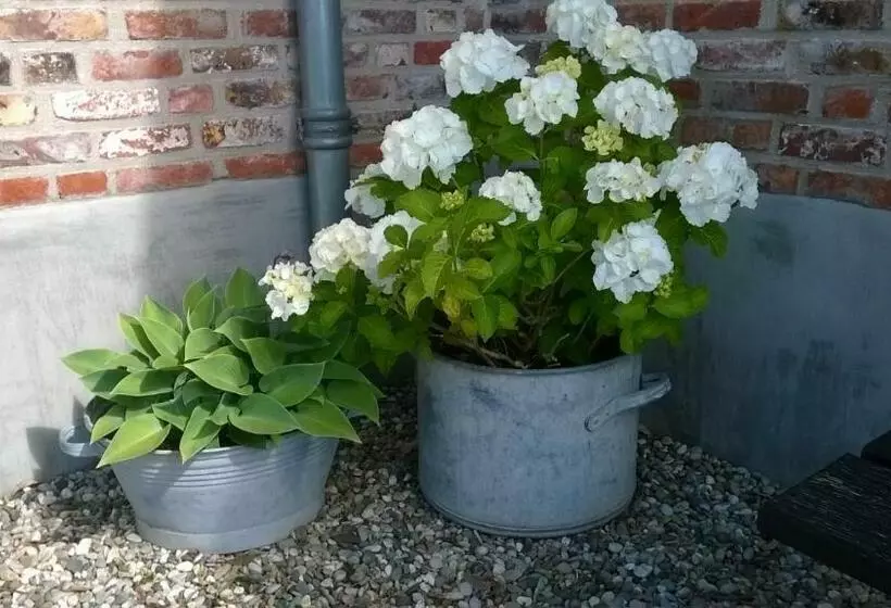 Aamiaismajoitus (B&B) Het Zeeuwsverblijf