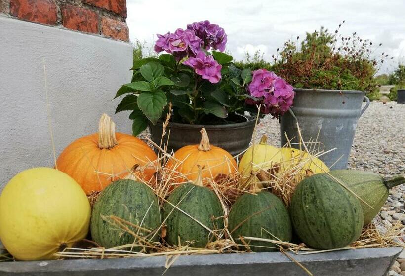 مبيت وإفطار Het Zeeuwsverblijf