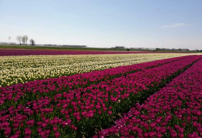 مبيت وإفطار Het Zeeuwsverblijf