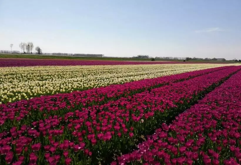Aamiaismajoitus (B&B) Het Zeeuwsverblijf