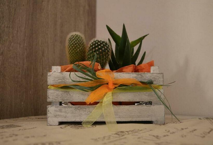 مبيت وإفطار Il Sorriso