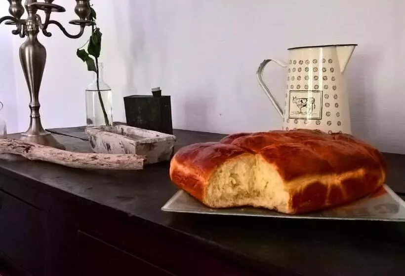 Aamiaismajoitus (B&B) Les Trésors De Malle Mialle