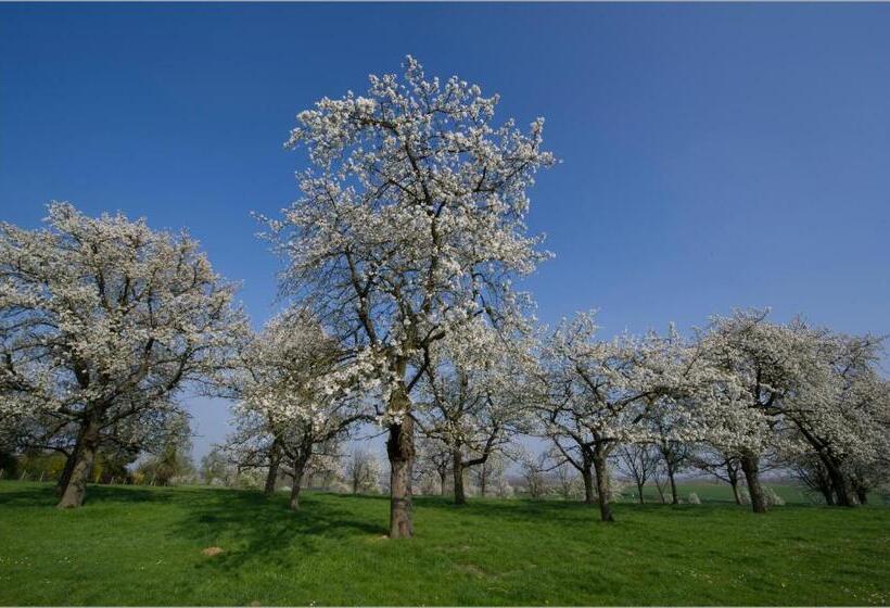 تختخواب و صبحانه Liry S Home