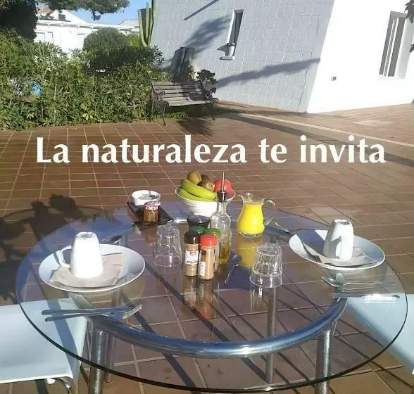 Aamiaismajoitus (B&B) Starbal