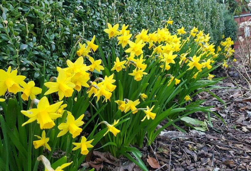 ベッドアンドブレックファースト Widdingenhof