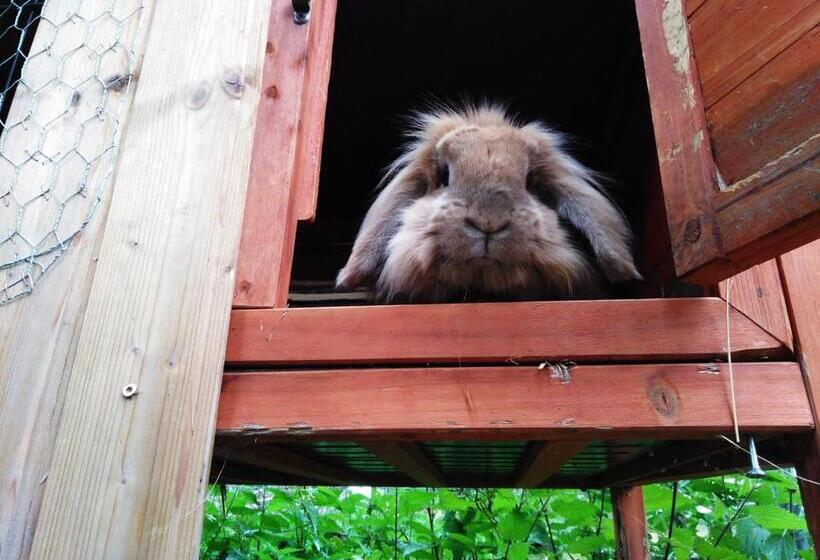 Отель Gasthof Zur Eiche
