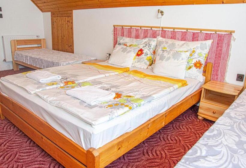 Пансион Bánóporta