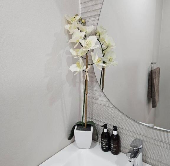 膳宿费 Haus Müller