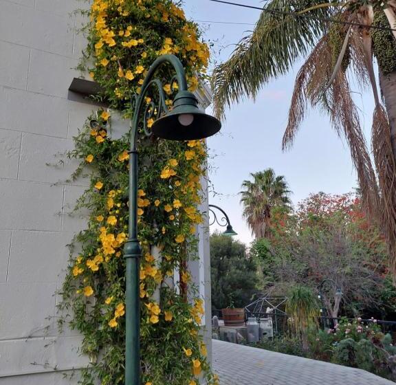 膳宿费 Haus Müller