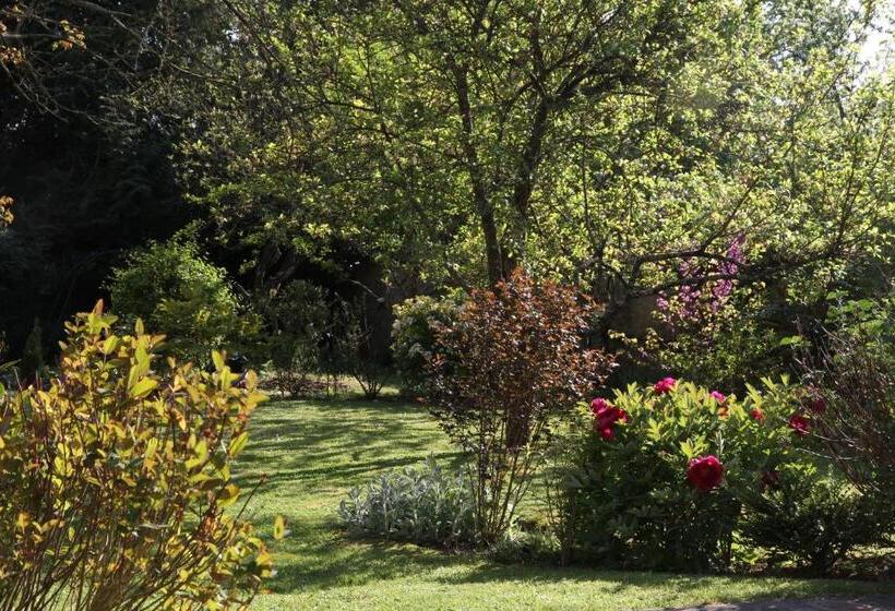 פנסיון Maison St Mayeul