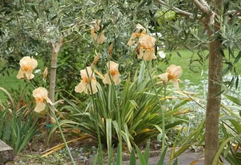 Majatalo Maison St Mayeul