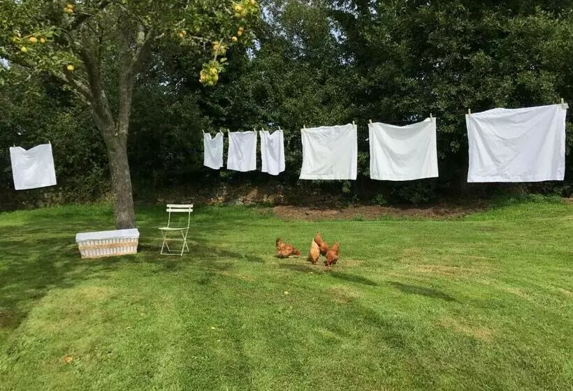 Majatalo Manoir Des Petites Bretonnes