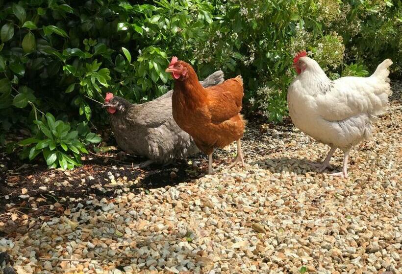 膳宿费 Manoir Des Petites Bretonnes