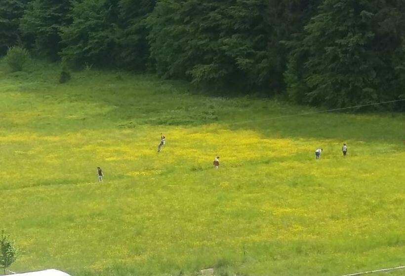 Pensiunea Poiana Soarelui