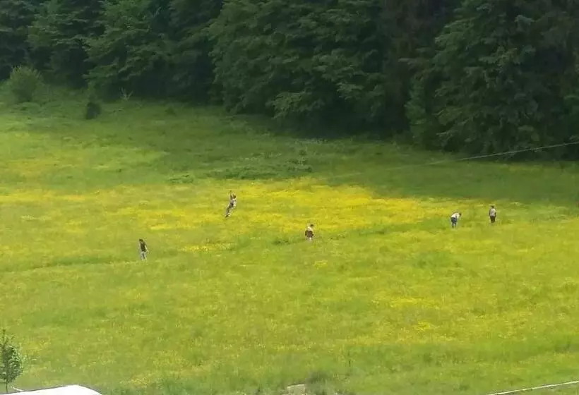 Pensiunea Poiana Soarelui