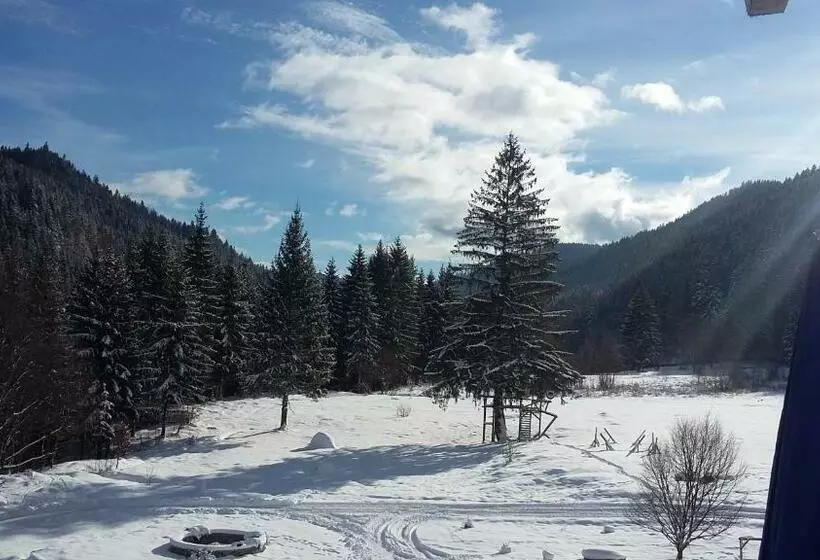 Pensiunea Poiana Soarelui