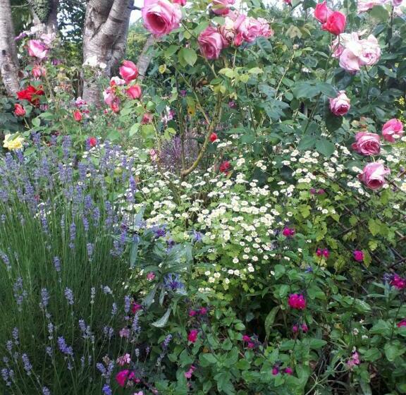 Santi Bhavana Bed & Breakfast