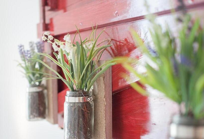 B&b Casa Del Faro Sanvallero Adults Only