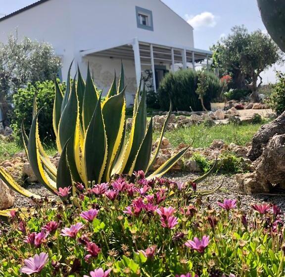 B&b Casa Del Faro Sanvallero Adults Only