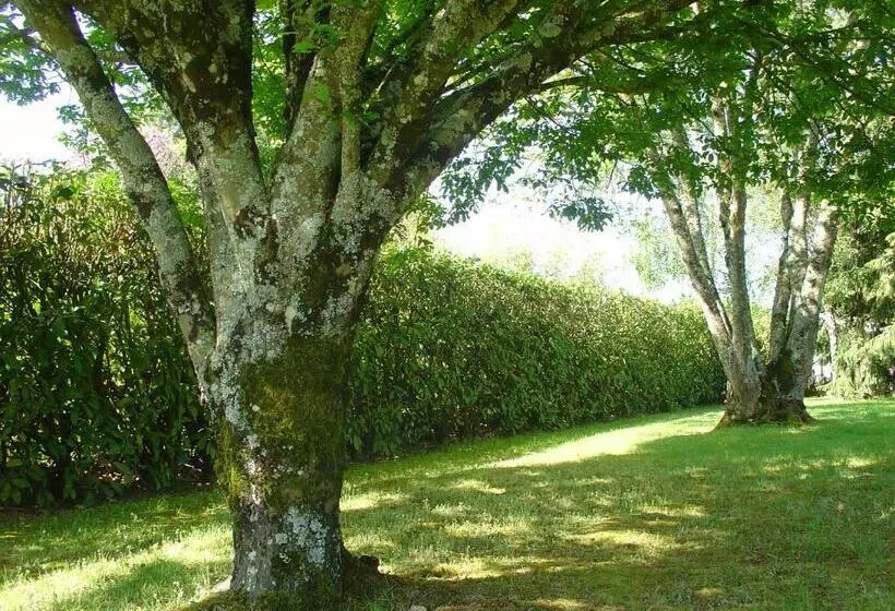 Aamiaismajoitus (B&B) Chambre D Hôtes Bellevue