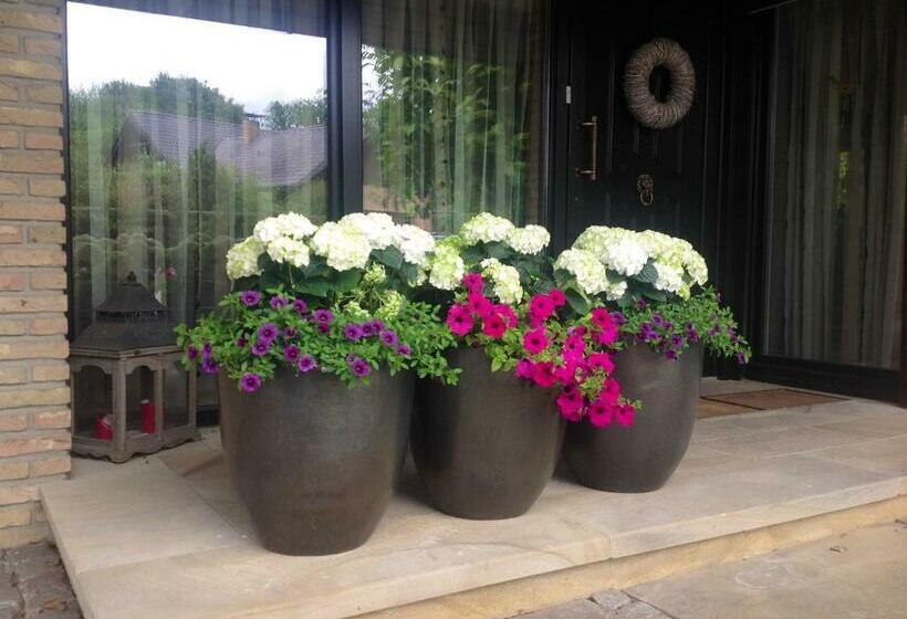 住宿加早餐 Haus Drossel