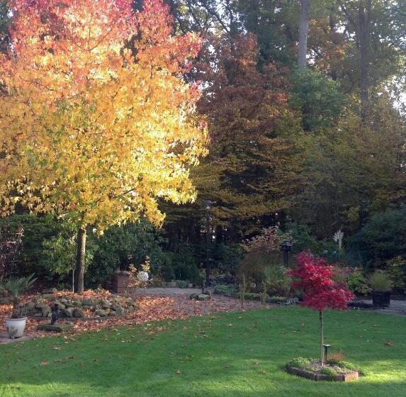 住宿加早餐 Haus Drossel