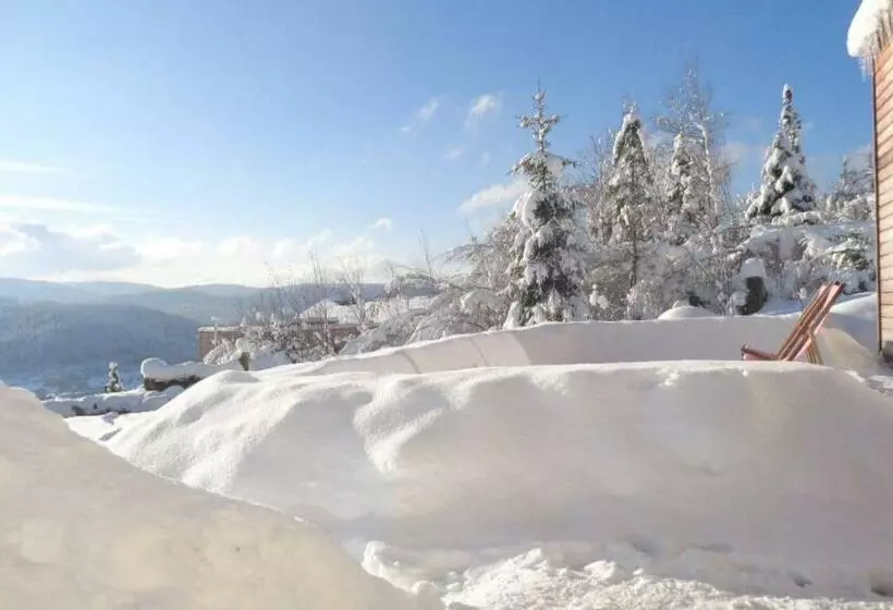 تختخواب و صبحانه Laptitevosgienne Vue Lac à Gérardmer !