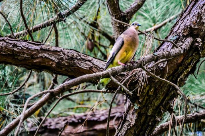 펜션 Pousada Chalés Da Felicidade