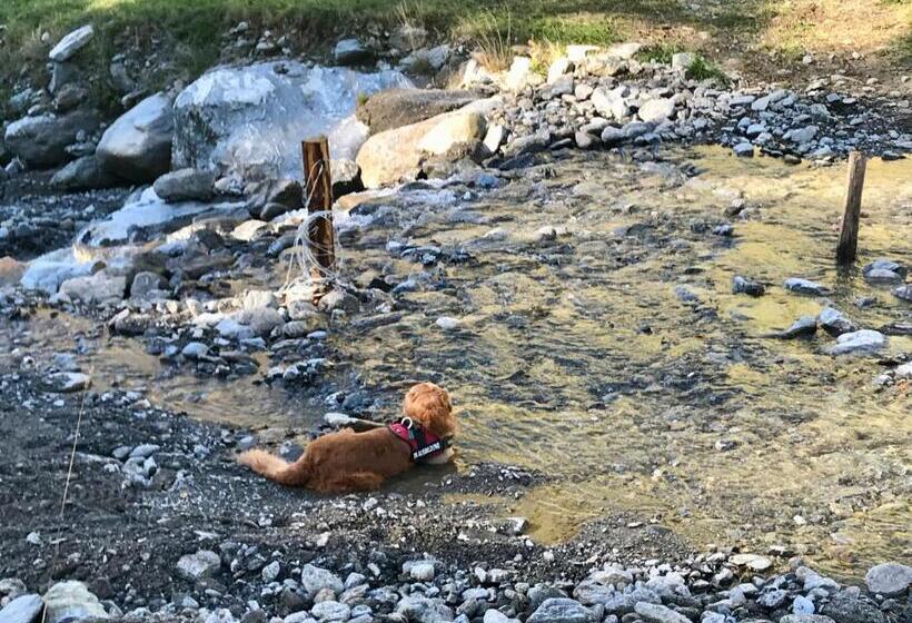 فندق Ferienwohnung Biohof Laußnitzer In Rennweg