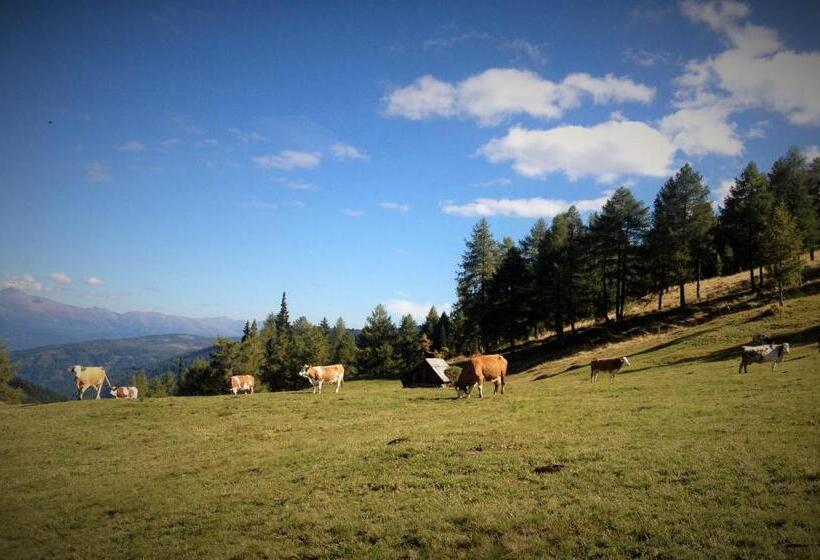 فندق Ferienwohnung Biohof Laußnitzer In Rennweg