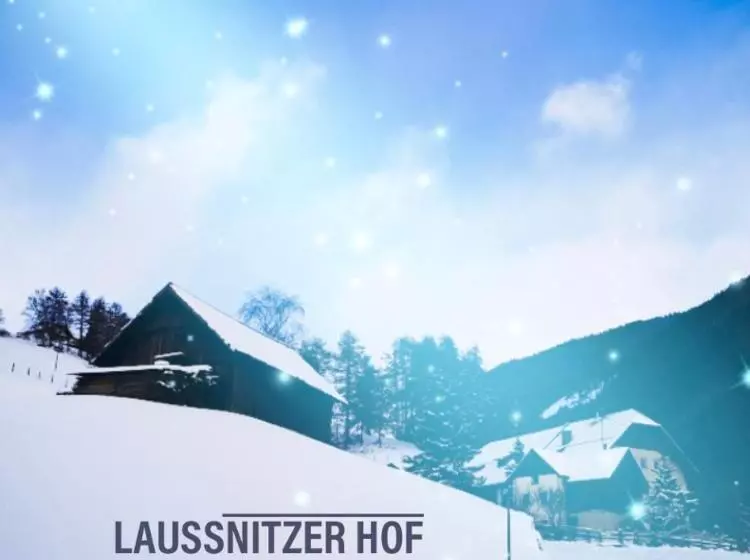 ホテル Ferienwohnung Biohof Laußnitzer In Rennweg