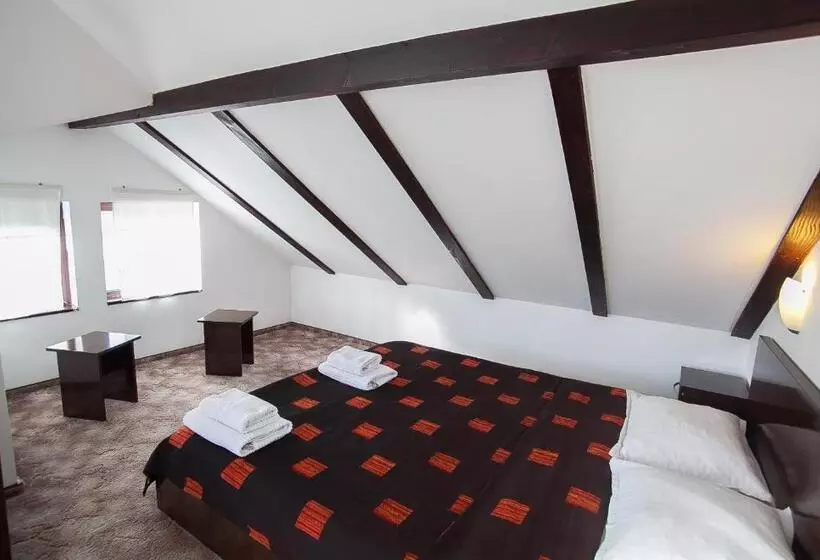 پانسیون Casa Thomas Bran