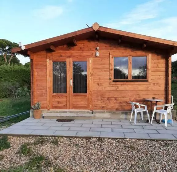 ペンション Quinta Do Pinheiro