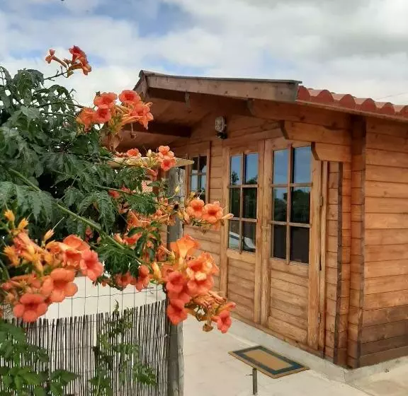 ペンション Quinta Do Pinheiro