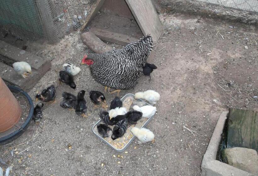 膳宿费 Quinta Do Pinheiro