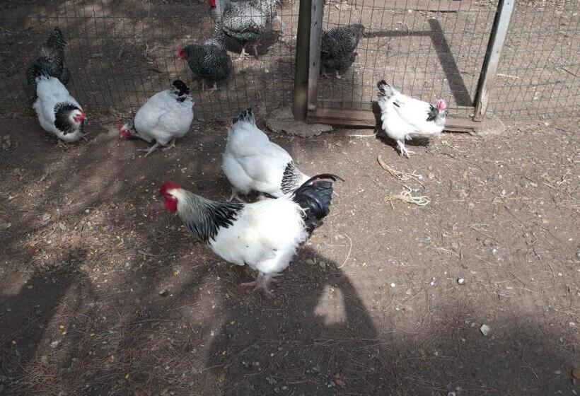 膳宿费 Quinta Do Pinheiro