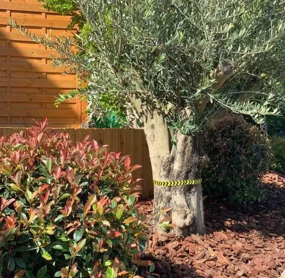 Majatalo Rebstöckel