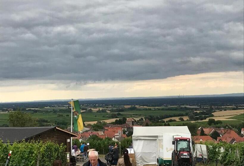 פנסיון Rebstöckel