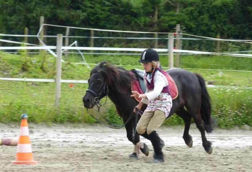 פנסיון Venez Loger Chez L Habitant Au Centre De L Alsace, à Côté D Europa Park !