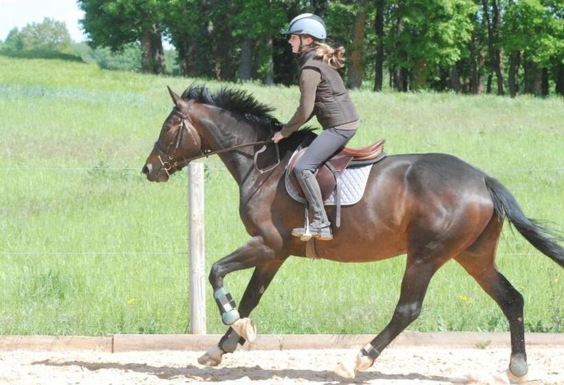 פנסיון Venez Loger Chez L Habitant Au Centre De L Alsace, à Côté D Europa Park !