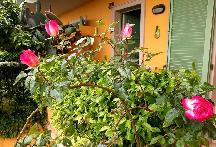 مبيت وإفطار Casa Marta