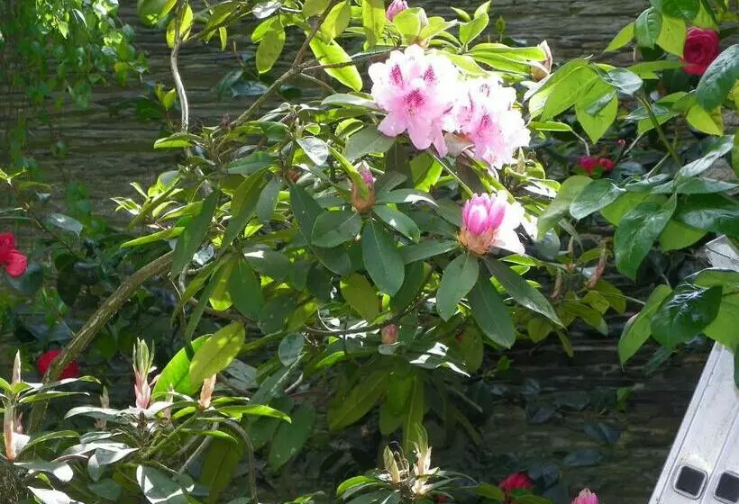 ベッドアンドブレックファースト Chambres D Hôtes Du Perray