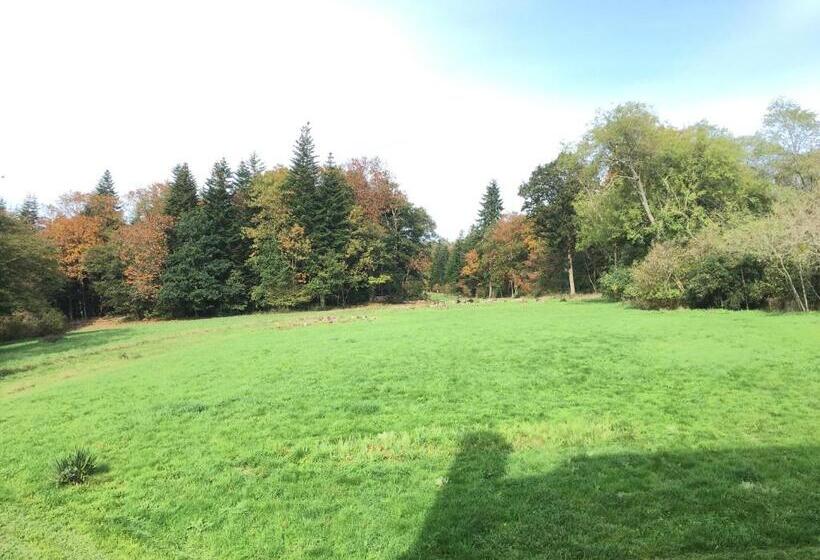 צימר Château De La Ville Huë