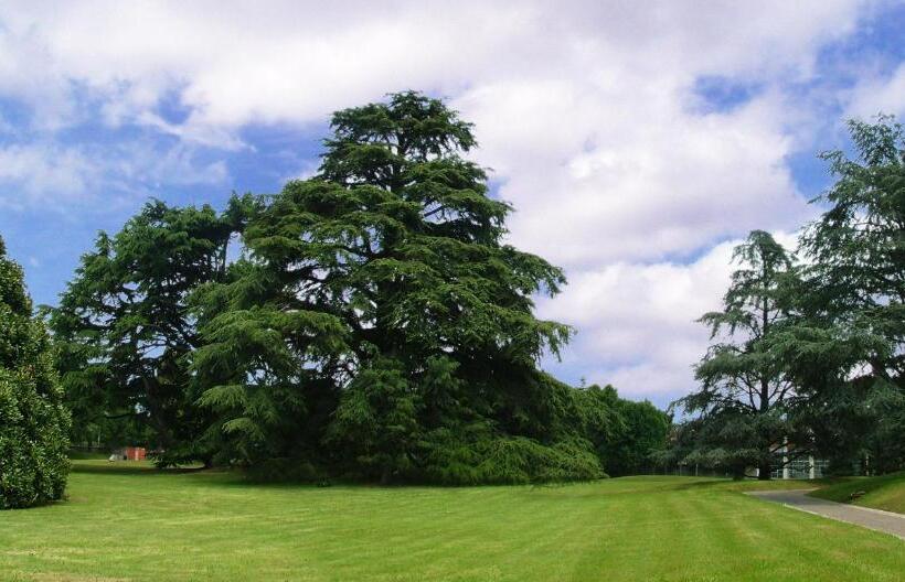 بنسيون Villa Lorenzo