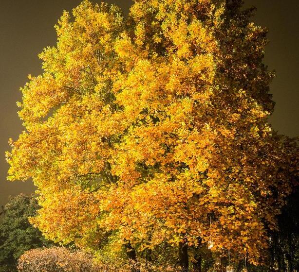 بنسيون Villa Lorenzo