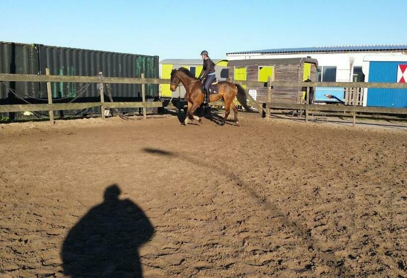 B&b Boerderij Rust, In Pipowagens!
